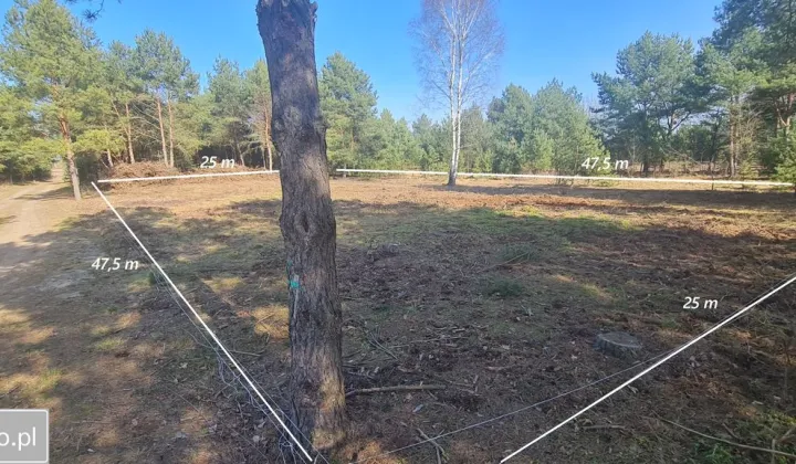 Działka budowlana Izabelin-Dziekanówek, ul. Unijna