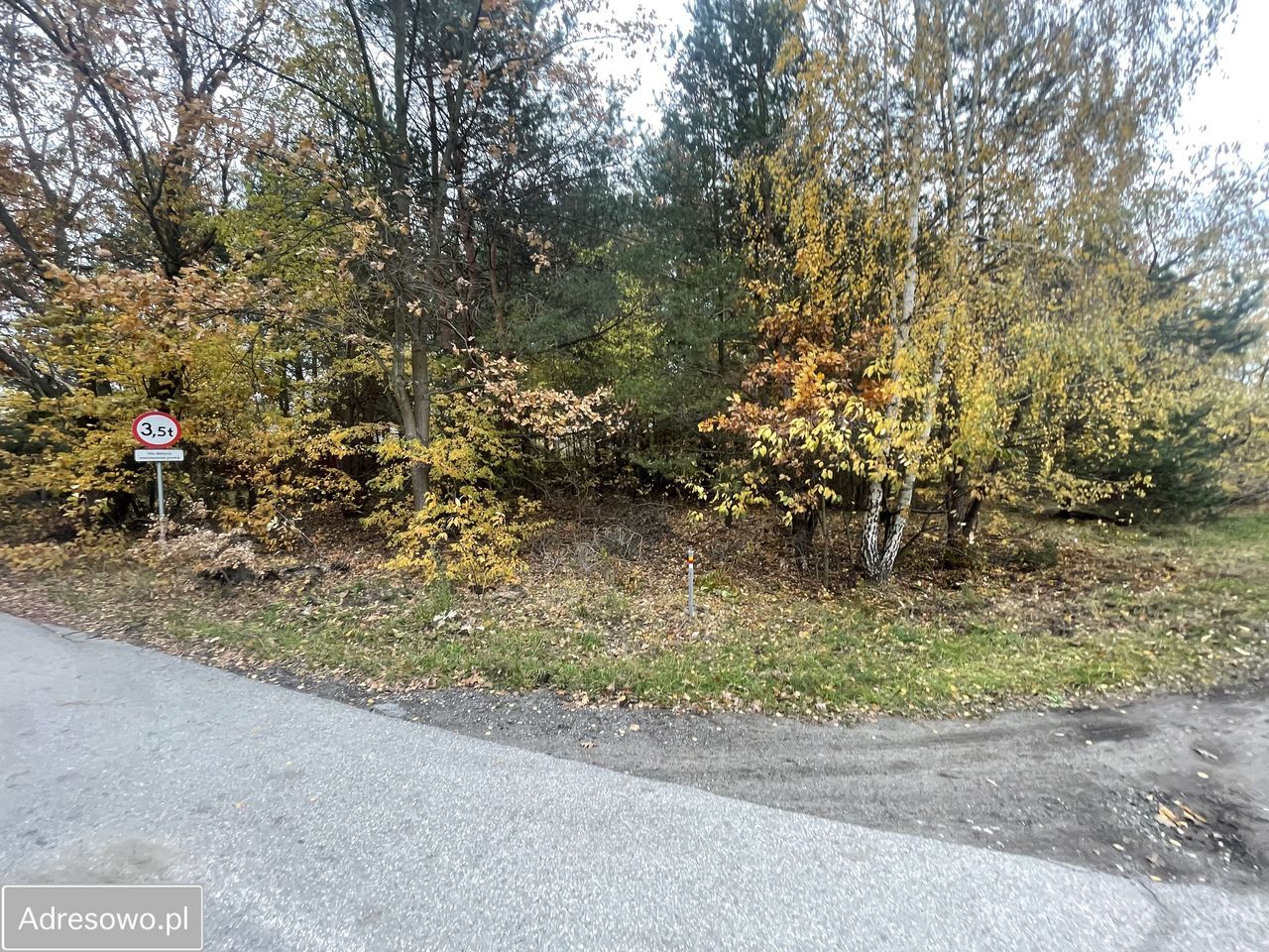 Działka budowlana Prace Duże, ul. Tarczyńska. Zdjęcie 9