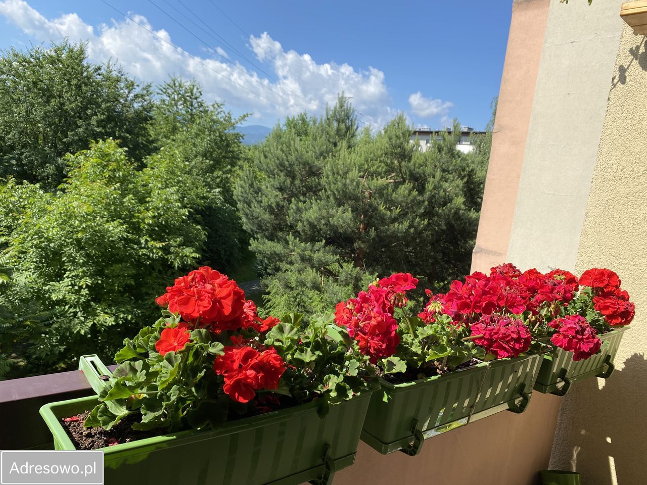 Mieszkanie 2-pokojowe Bielsko-Biała Złote Łany, ul. Juliana Tuwima. Zdjęcie 16