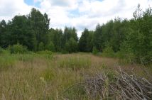 Działka rolno-budowlana Wola Karczewska, ul. Leszczyny. Zdjęcie 2