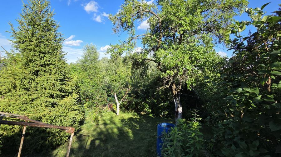Działka rod Gdańsk Morena, ul. Łabędzia. Zdjęcie 5