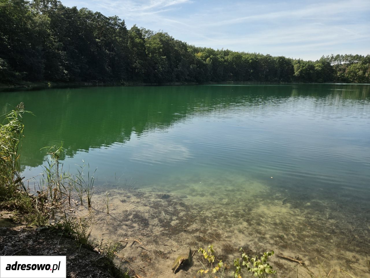 Działka rekreacyjna Borowy Młyn. Zdjęcie 10