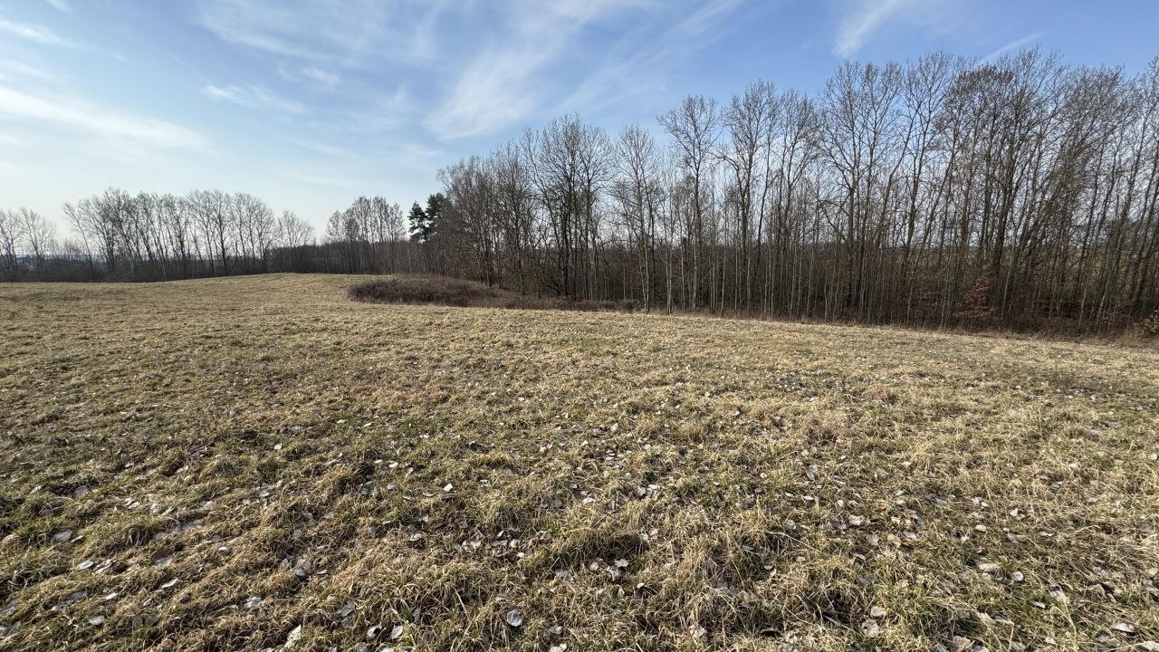 Działka rolno-budowlana Klebark Wielki. Zdjęcie 3