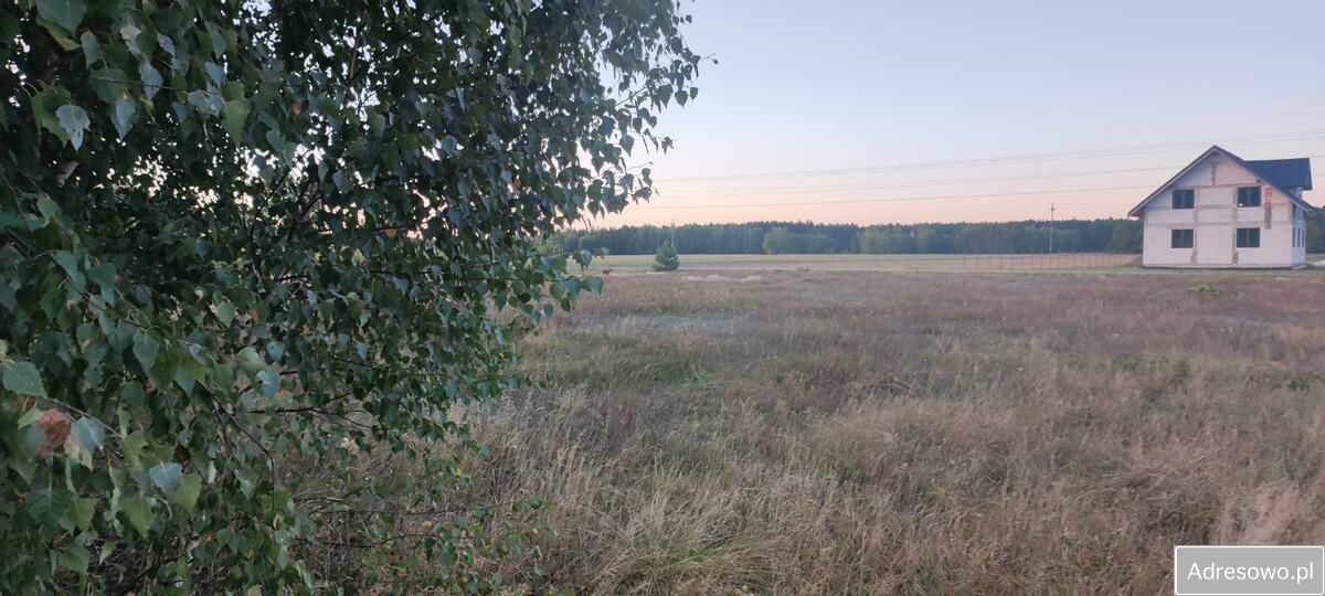 Działka siedliskowa Rosy. Zdjęcie 10