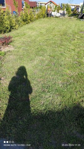 Działka rod Gdańsk Jasień, ul. Tadeusza Jasińskiego. Zdjęcie 1