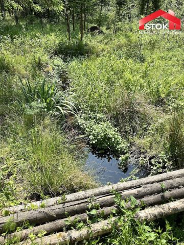 Działka leśna Rudnica. Zdjęcie 12