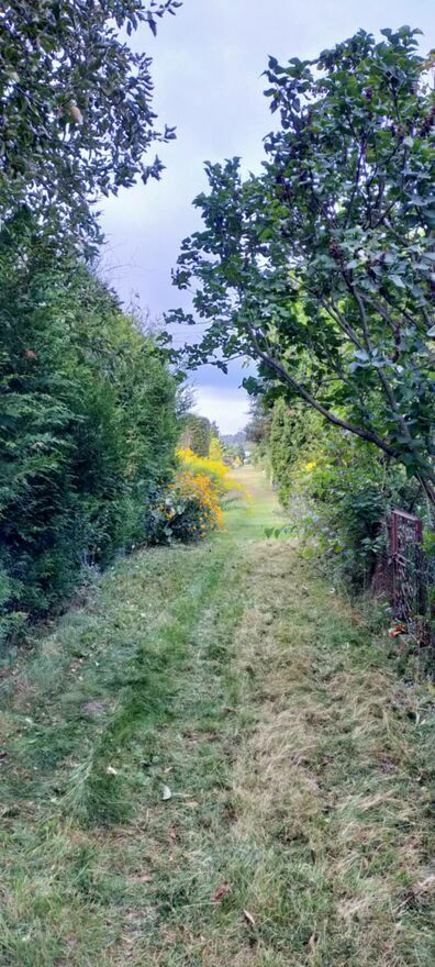 Działka rod Gostynin Bratoszewo. Zdjęcie 13