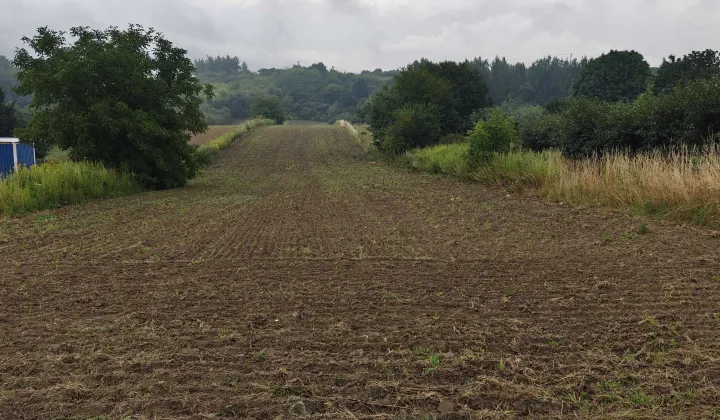Działka rolno-budowlana Rzeczyca Mokra