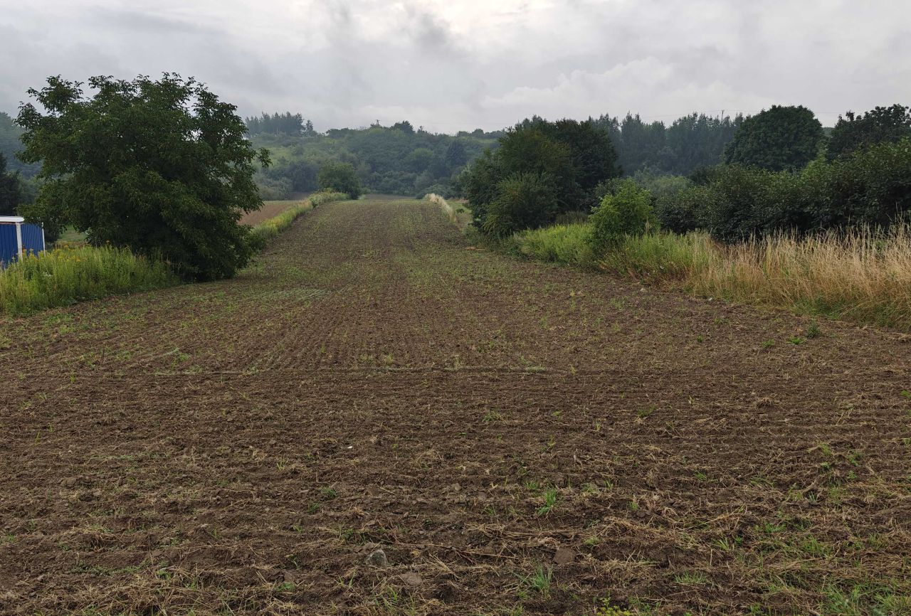 Działka rolno-budowlana Rzeczyca Mokra. Zdjęcie 1
