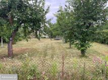 Działka rod Jelcz-Laskowice, ul. Piastowska. Zdjęcie 1