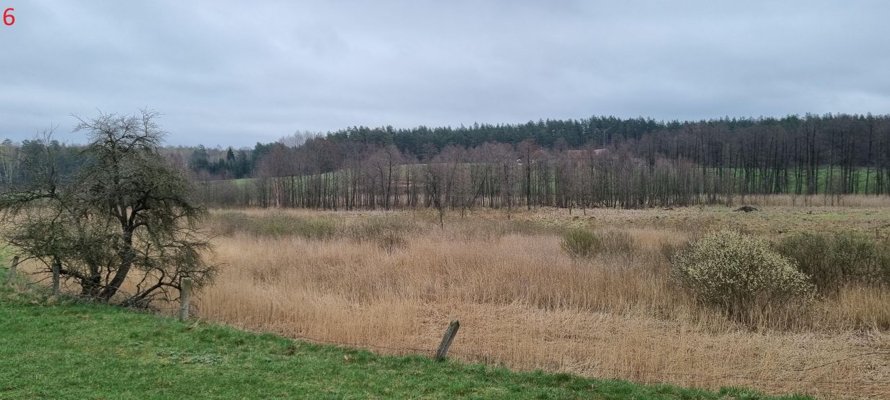 Działka rolna Piecki Piersławek. Zdjęcie 5