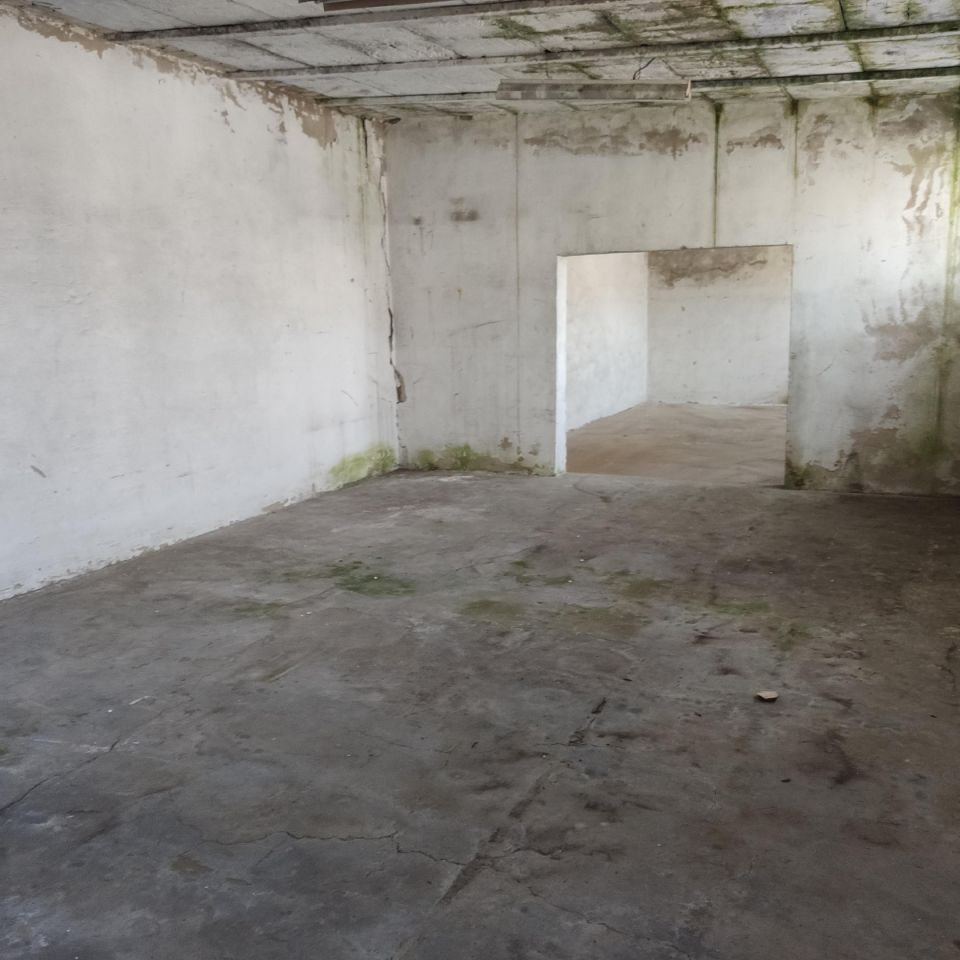 Hala/magazyn Radom Młodzianów, ul. Ptasia. Zdjęcie 4