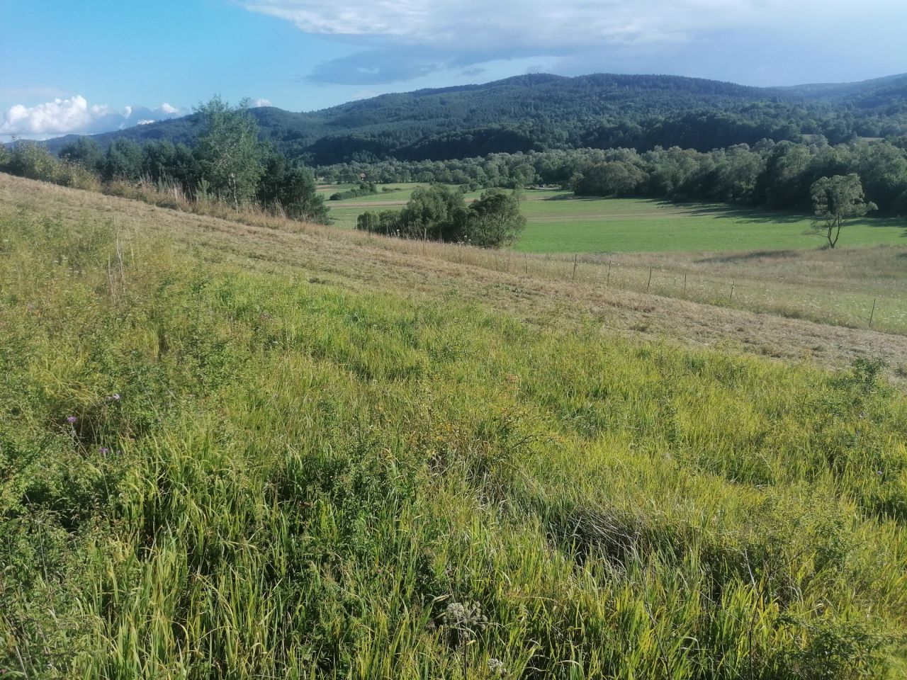 Działka rekreacyjna Rybotycze. Zdjęcie 45