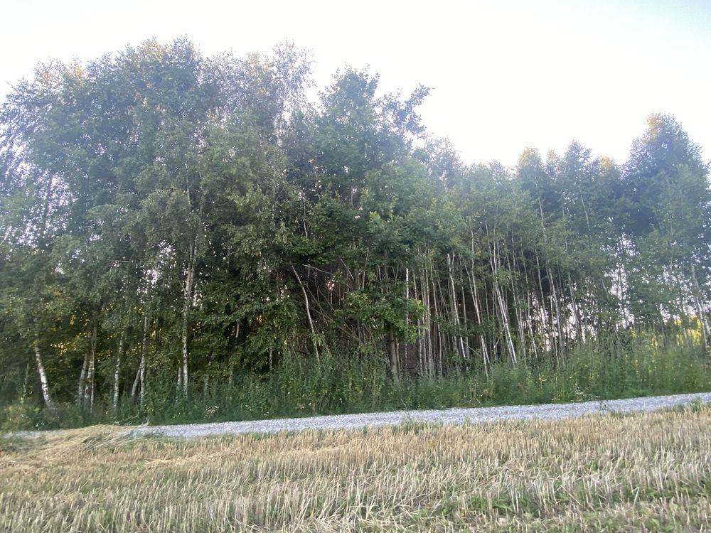 Działka rolno-budowlana Sędek