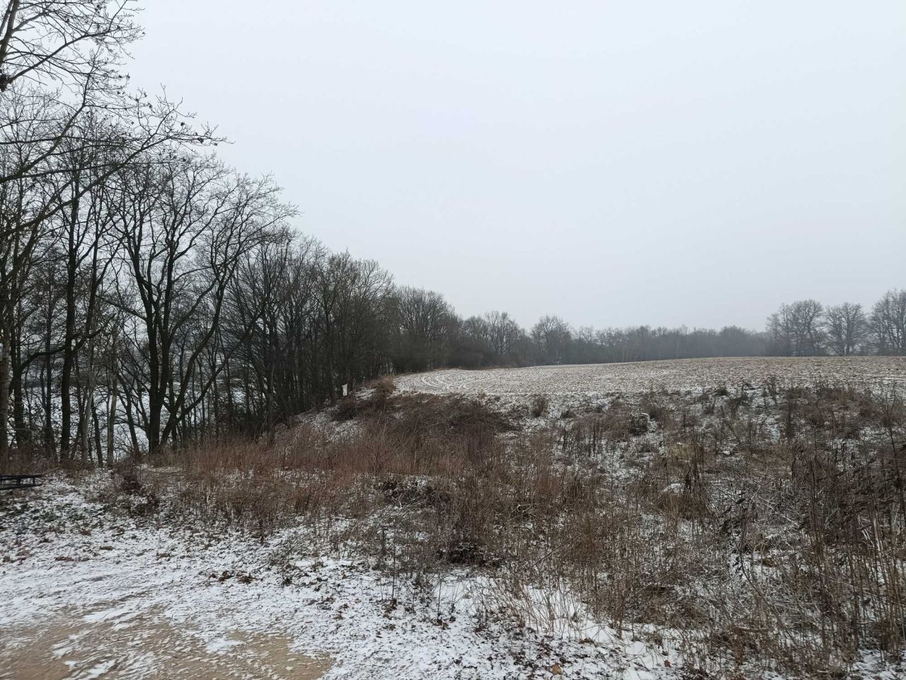 Działka budowlana Skórki. Zdjęcie 6