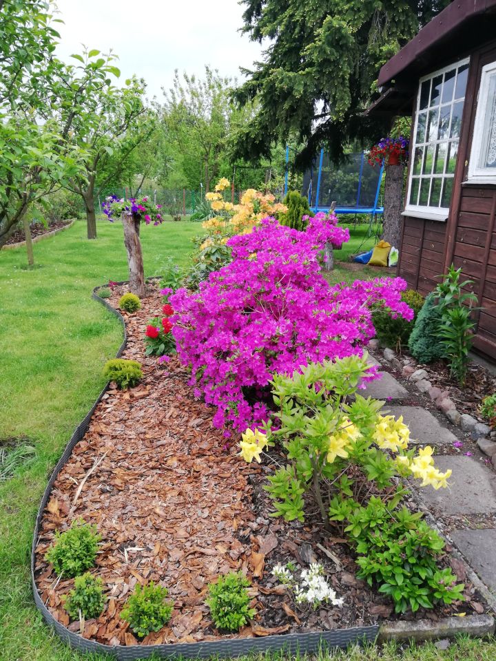 Działka rod Warszawa Bemowo, Dzialka ROD Bemowo II. Zdjęcie 13