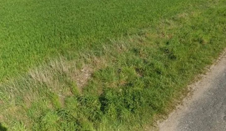 Działka budowlana Kowalki