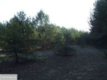 Działka budowlana Stanisławów Pierwszy. Zdjęcie 2