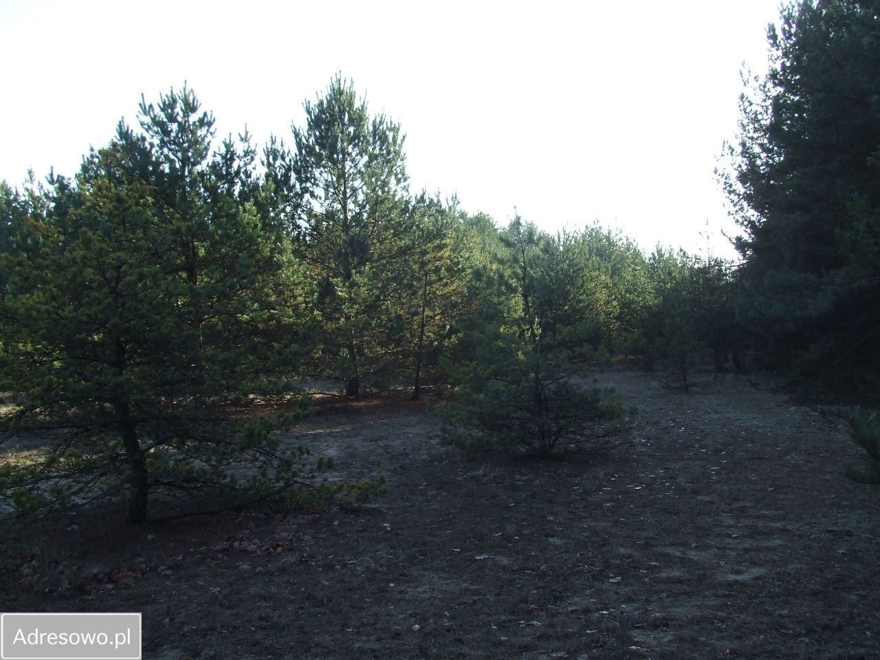 Działka budowlana Stanisławów Pierwszy. Zdjęcie 3