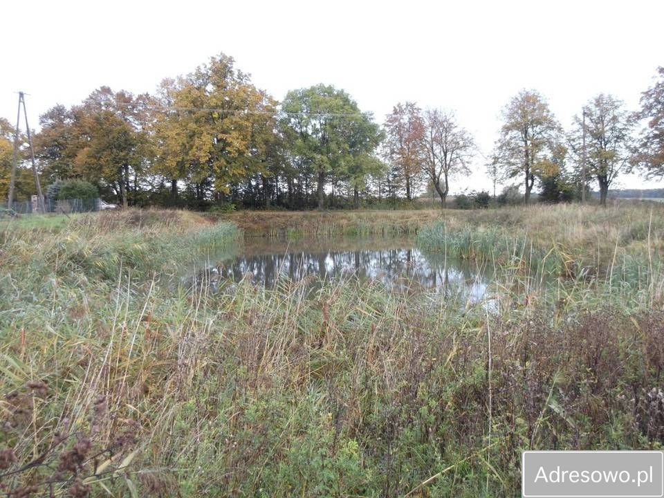 Działka rolna Niedziały. Zdjęcie 9