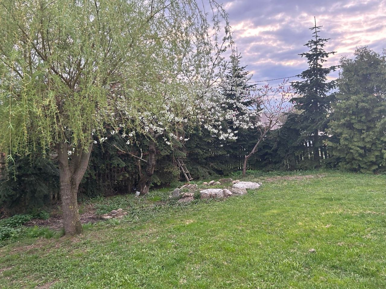 dom wolnostojący Nowe Kiejkuty. Zdjęcie 2