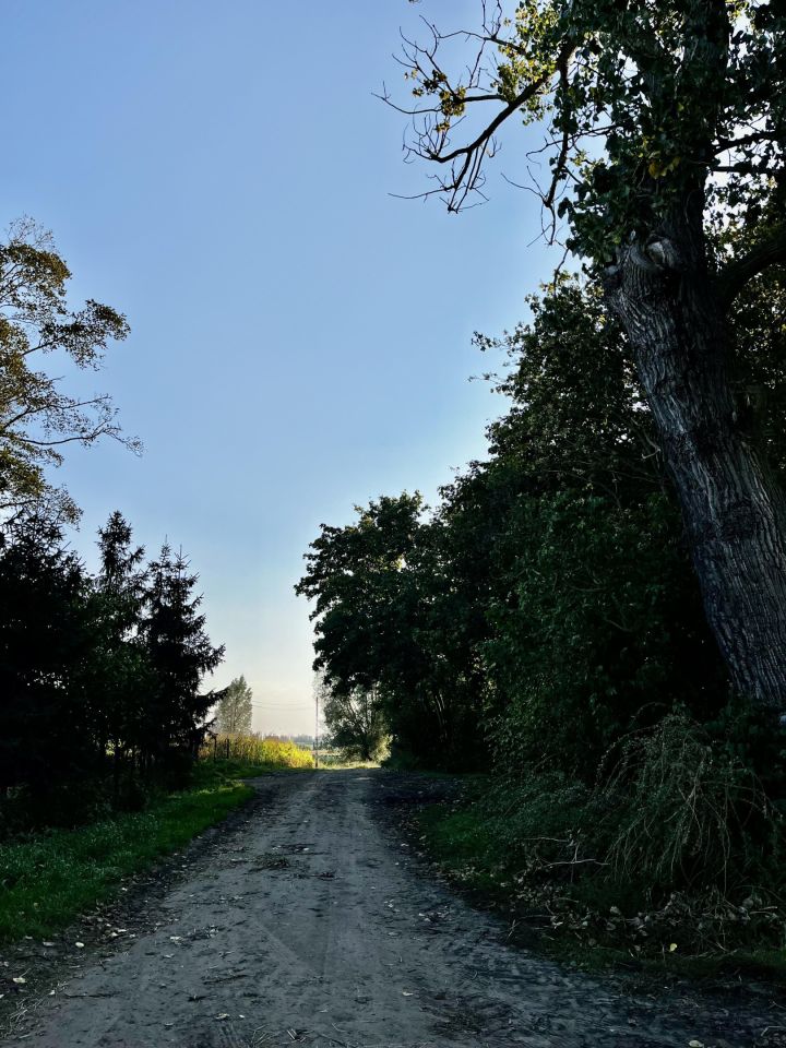 Działka rolna Skowarcz, ul. Łąkowa. Zdjęcie 4