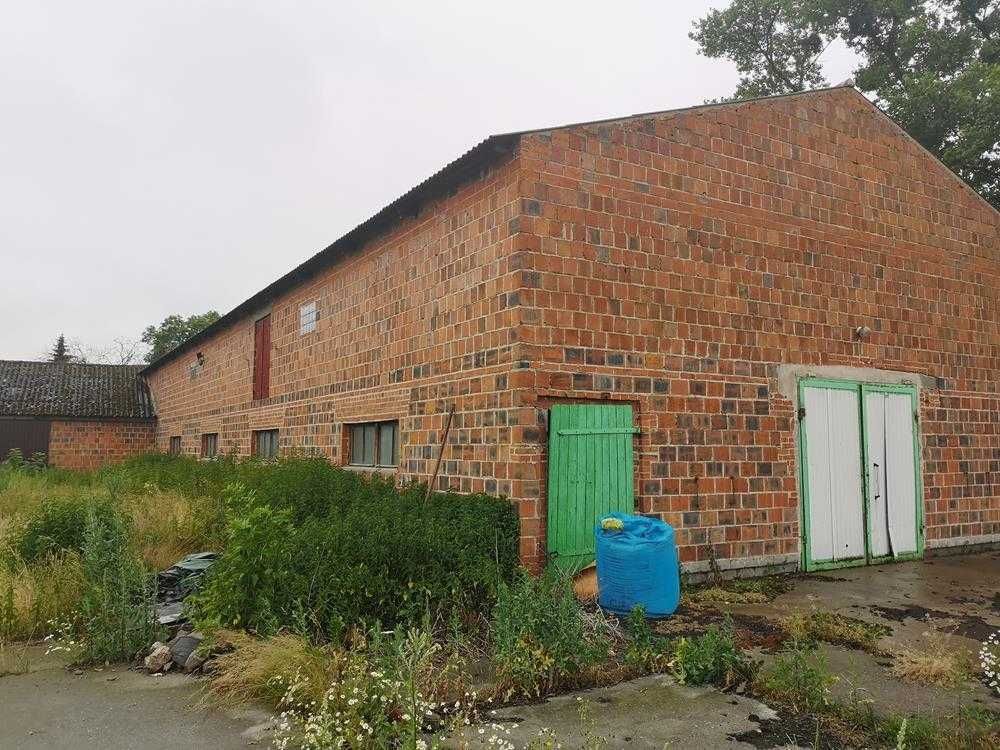 Nieruchomość komercyjna Zimin. Zdjęcie 8