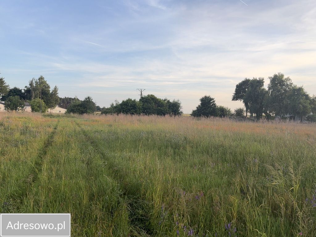 Działka rolno-budowlana Radziwiłłów. Zdjęcie 6