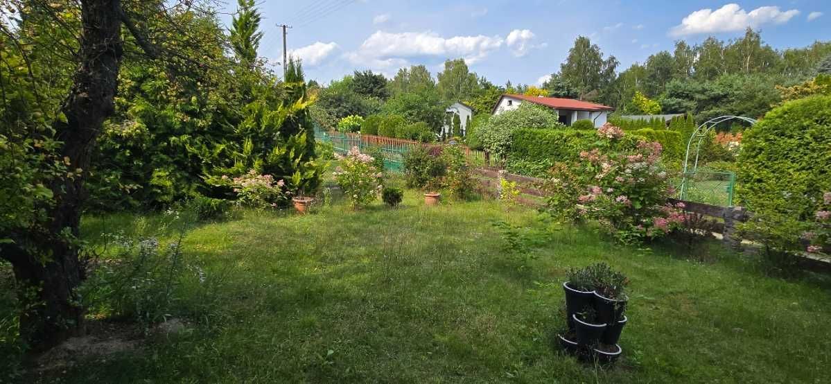 Działka rod Dobra-Nowiny. Zdjęcie 1