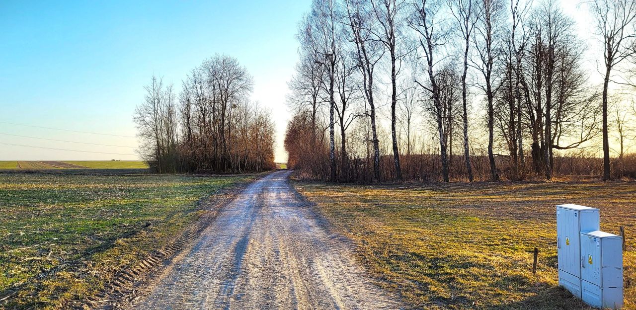 Działka budowlana Płoskie. Zdjęcie 7