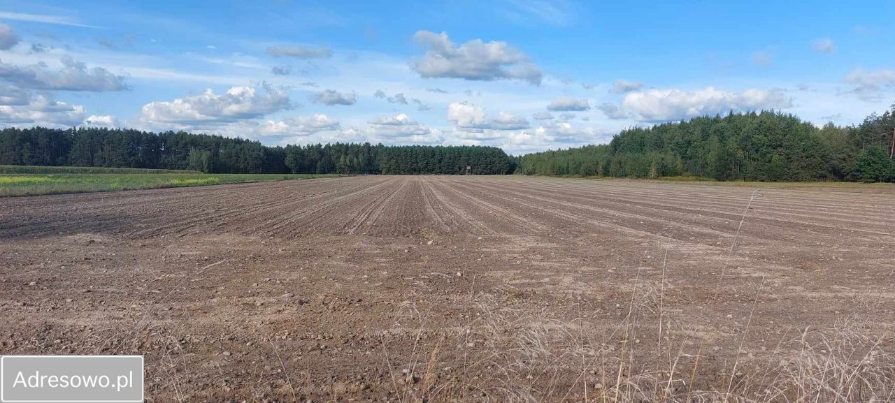 gospodarstwo Potkanna. Zdjęcie 14