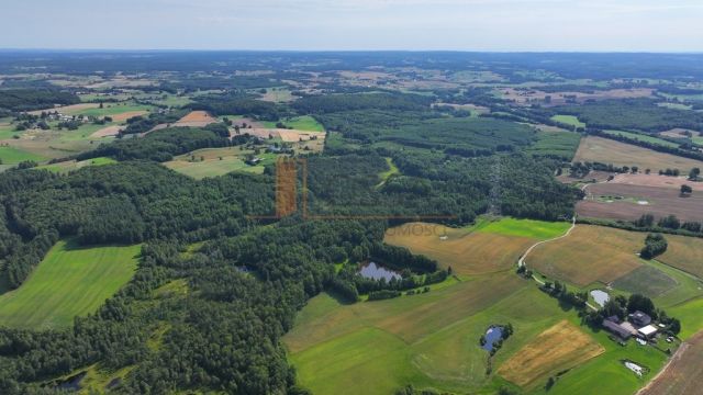 Działka siedliskowa Grabowska Huta. Zdjęcie 7