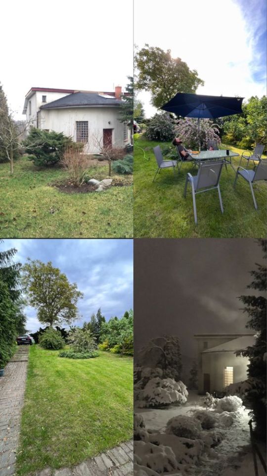 Działka rod Szczecin Golęcino, ul. Pokoju. Zdjęcie 8