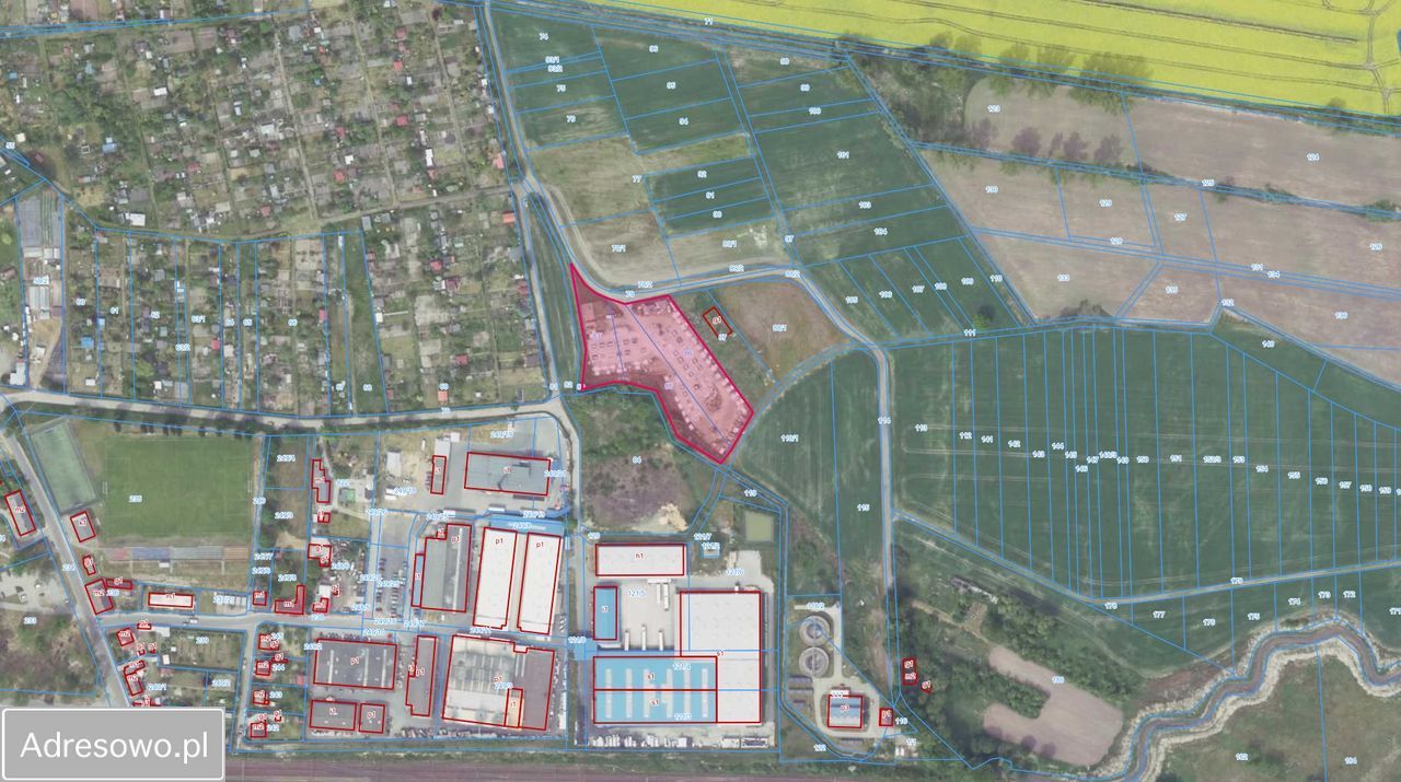 Działka inwestycyjna Czerwieńsk, ul. Kwiatowa. Zdjęcie 6