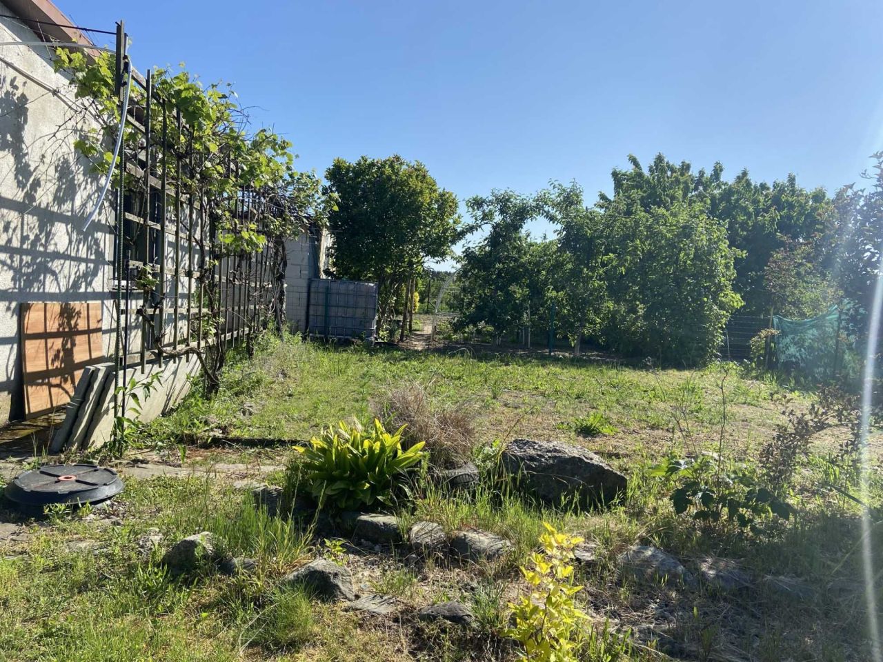 Działka rod Międzychód. Zdjęcie 6