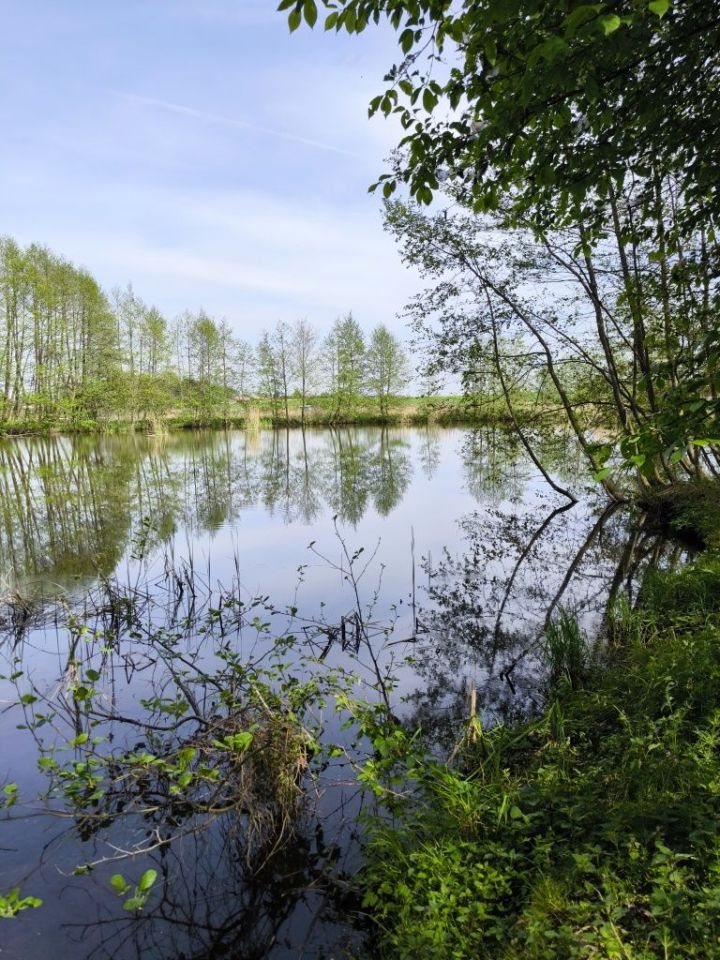 Działka rolna Wydorowo. Zdjęcie 3