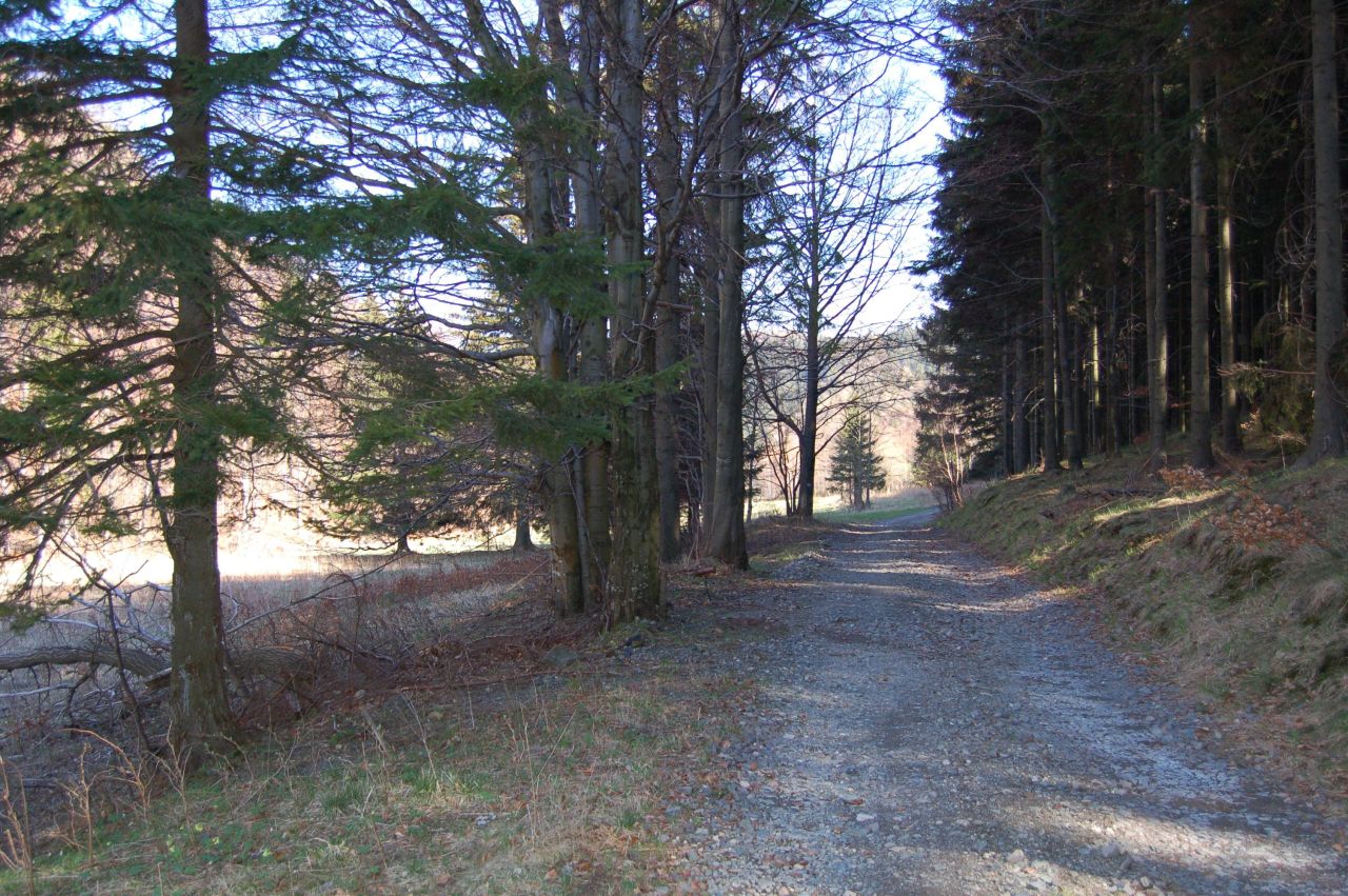 Działka rolna Jarkowice. Zdjęcie 4