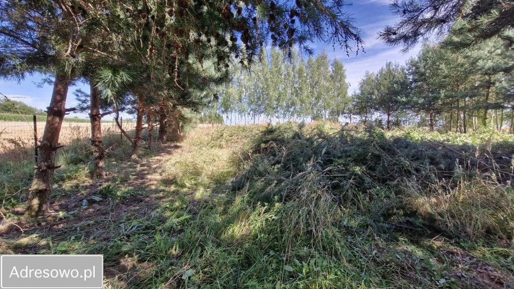 Działka budowlana Długie. Zdjęcie 6