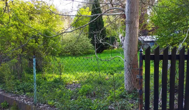 Działka rod Zielona Góra Jędrzychów, ul. Podwójna