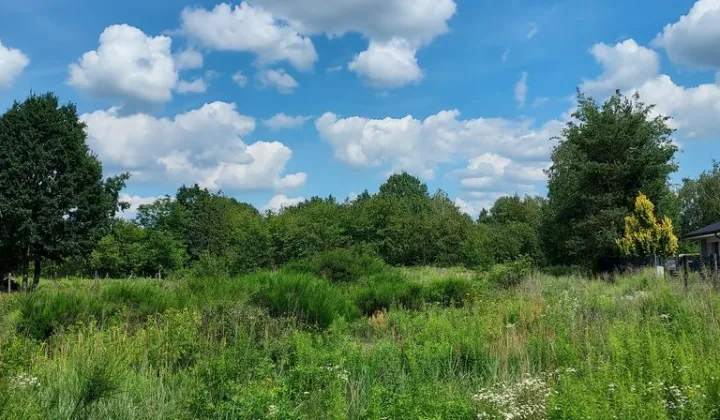 Działka budowlana Żółwin, ul. Słoneczna