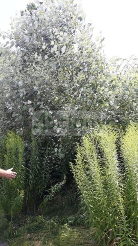 Działka budowlana Komorów. Zdjęcie 1