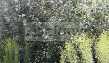 Działka budowlana Komorów