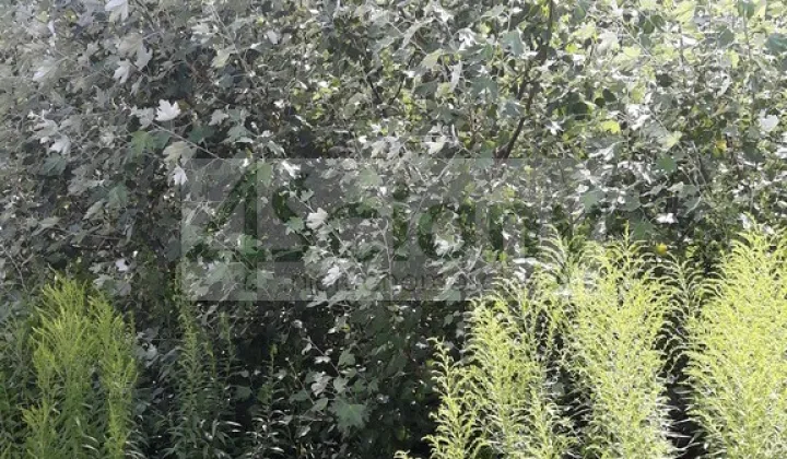 Działka budowlana Komorów