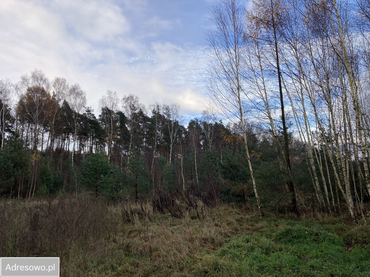 Działka budowlana Banino, ul. Bursztynowa. Zdjęcie 12