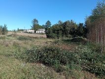 Działka budowlana Ostrzyce, ul. Kasztelańska. Zdjęcie 3