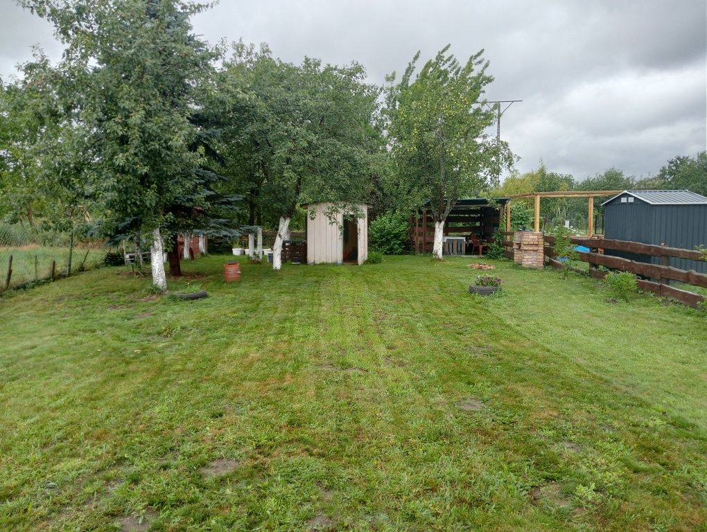 Działka rod Gorzów Wielkopolski, ul. Marcina Kasprzaka. Zdjęcie 8