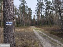 Działka budowlana Wolaniny. Zdjęcie 2