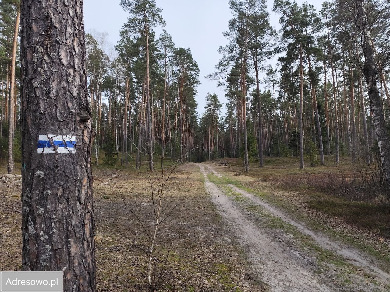 Działka budowlana Wolaniny. Zdjęcie 3