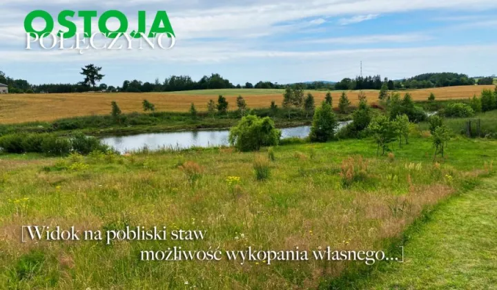 Działka budowlana Połęczyno