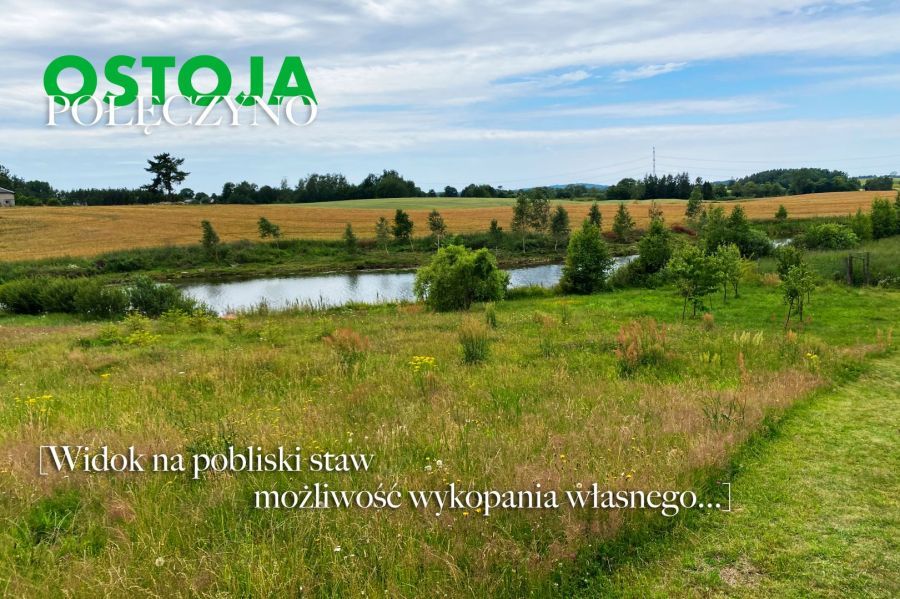 Działka budowlana Połęczyno. Zdjęcie 1